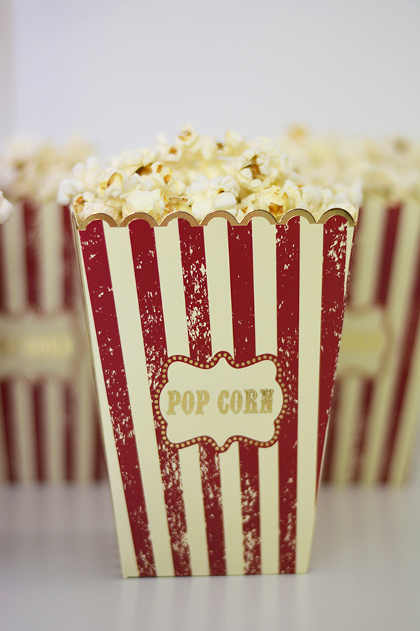Lot De 12 Boîtes à Popcorn Thème Chanteur – Pour Anniversaire, Mariage, Fête – Déco Et Friandises